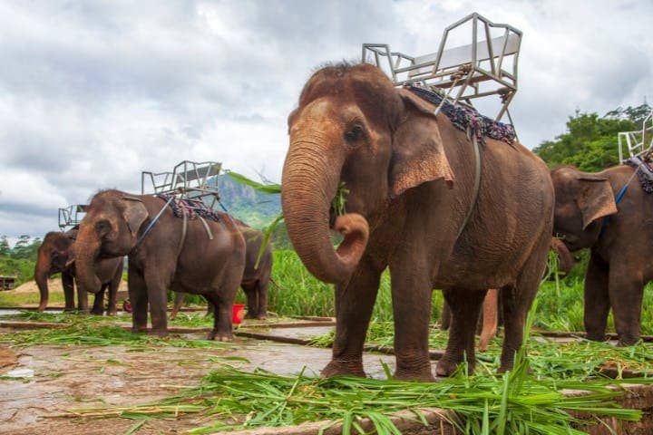 7-Day Thailand Tour