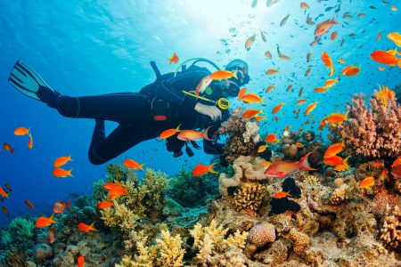 Adventures: Scuba Diving and Snorkeling in the Andaman Sea