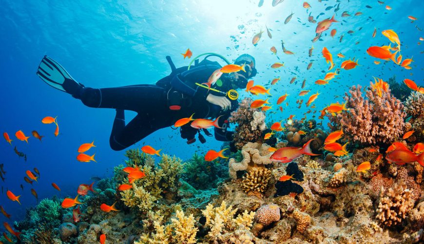 Adventures: Scuba Diving and Snorkeling in the Andaman Sea