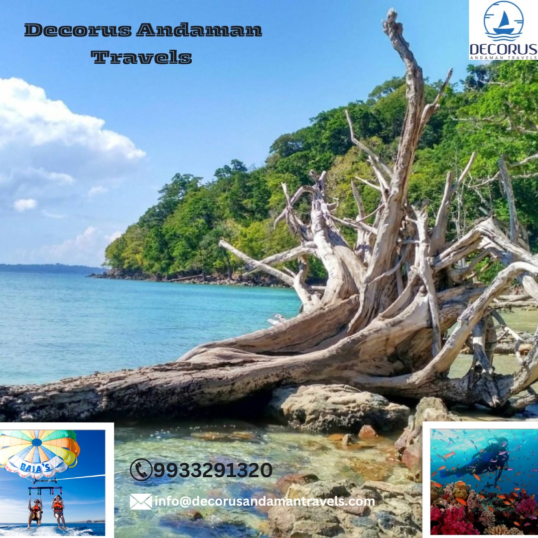 Best travel agents in Andaman