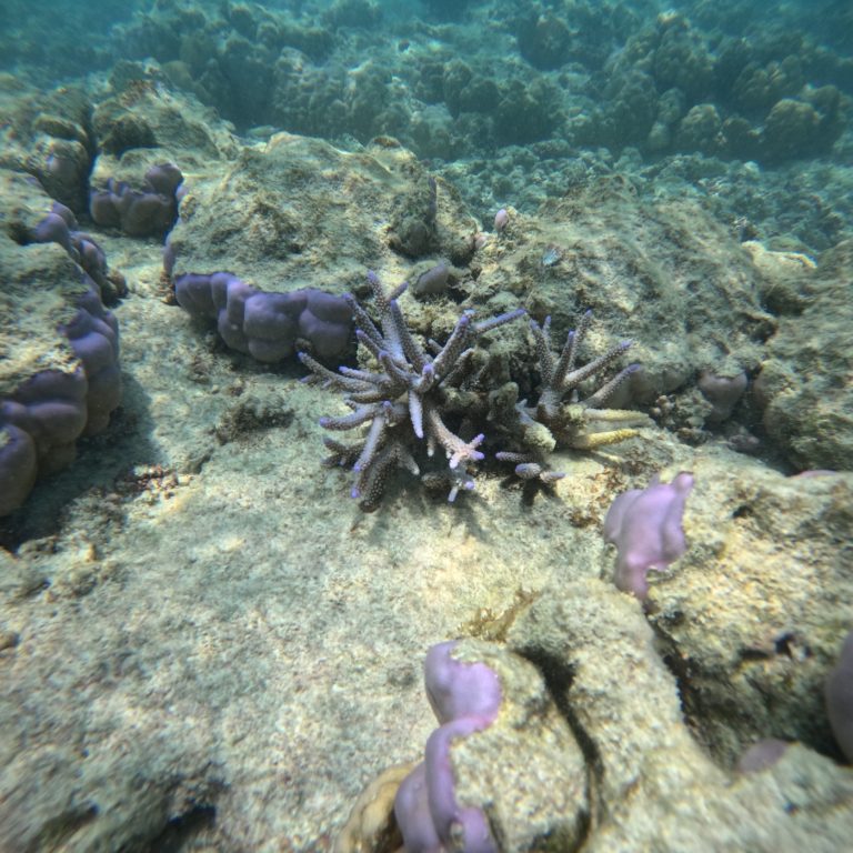 WhatsApp Image 2025-09-27 at 4.21.40 PM