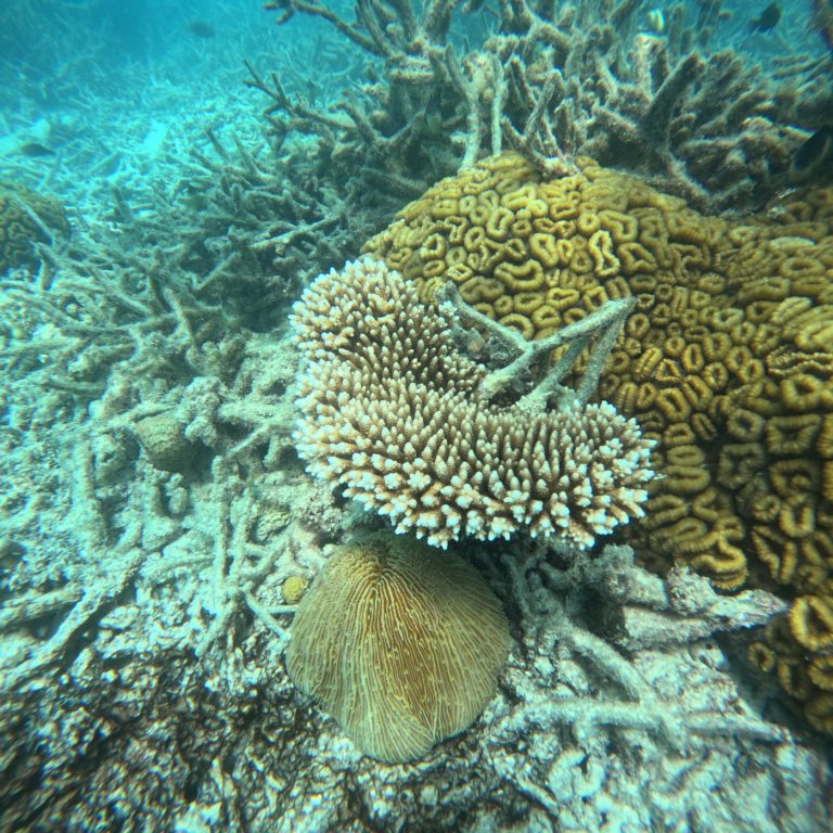 WhatsApp Image 2025-09-27 at 4.21.41 PM (1)