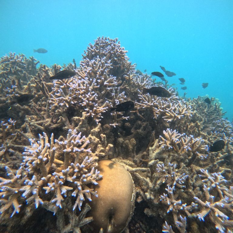 WhatsApp Image 2025-09-27 at 4.21.41 PM