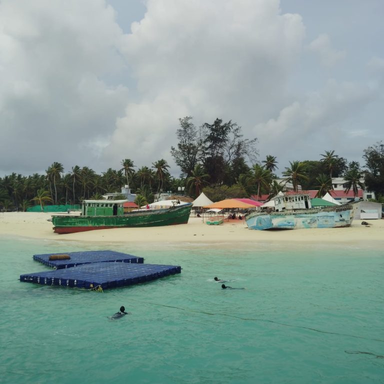 WhatsApp Image 2025-09-27 at 4.21.43 PM (1)